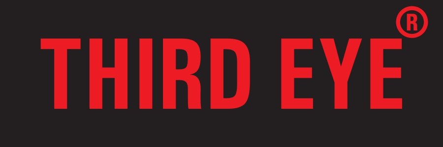 THIRD EYE ELEVATOR PRIVATE LIMITED logo